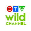 CTV Wild